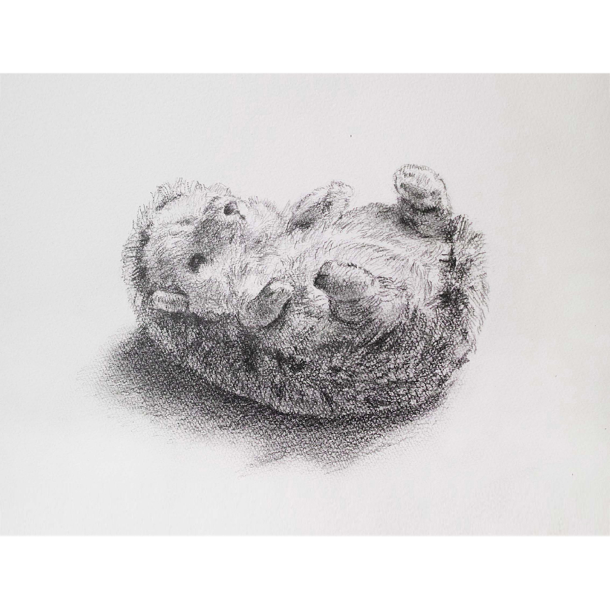 絵画レッスン「おとなも参加できるデッサン」画像
