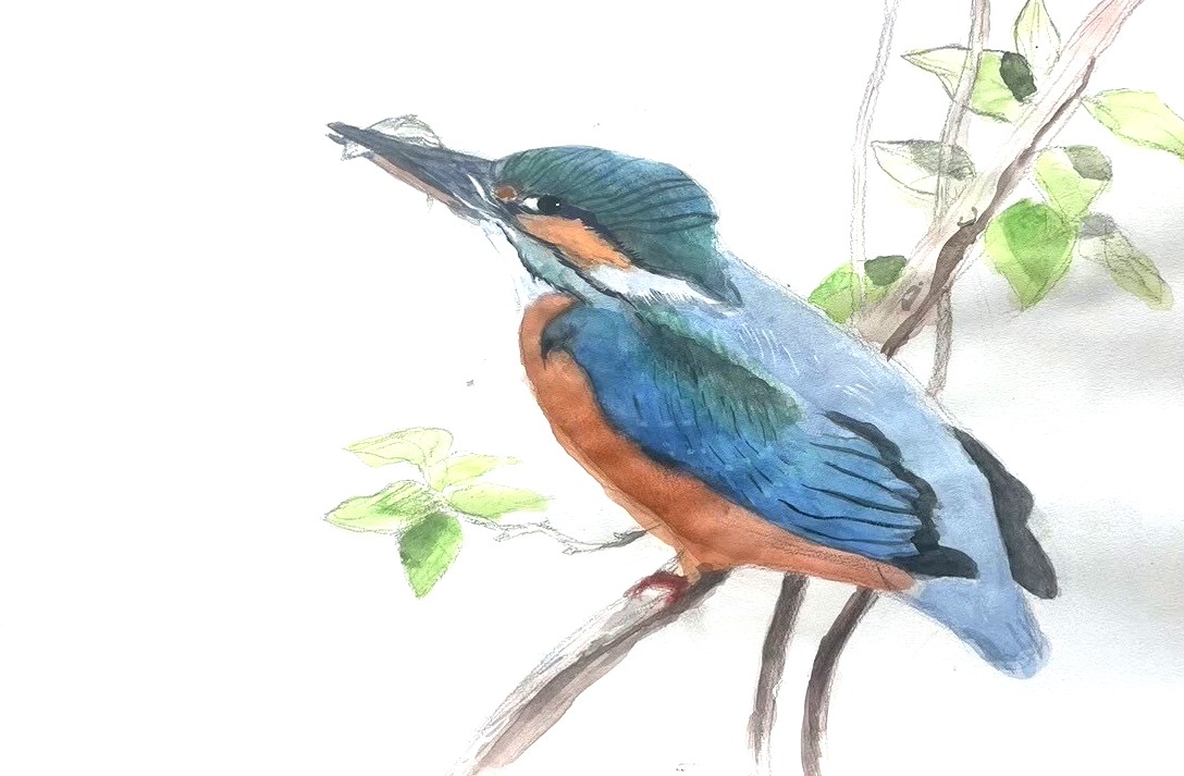 大人向けカリキュラム　水彩画を学ぶ-基礎編画像1