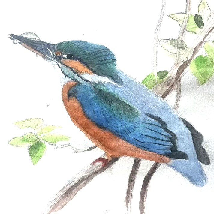 2026年度水彩画を学ぶ-基礎編「明暗・色彩・遠近法」