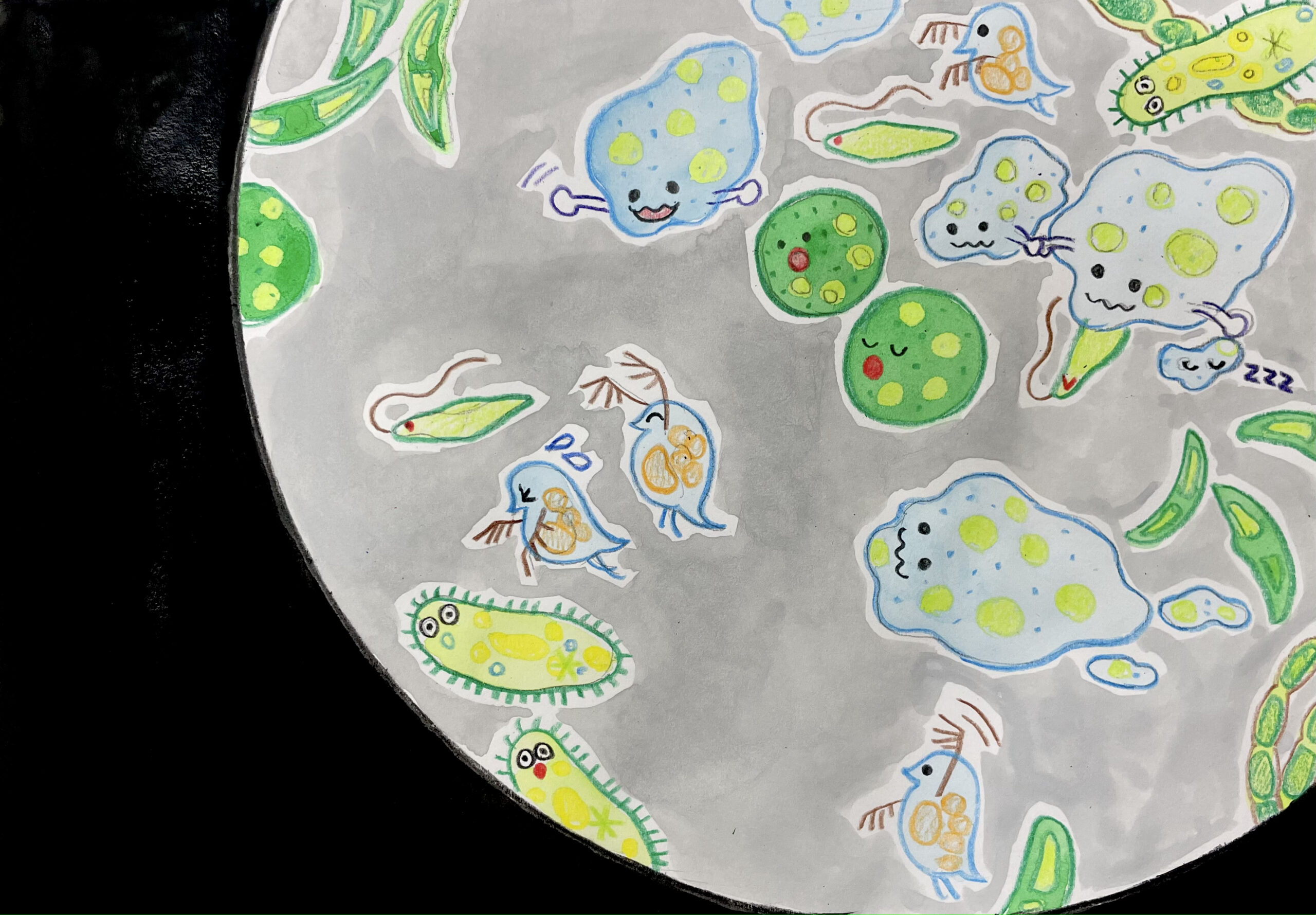 《こども向け共通》絵画カリキュラム画像1